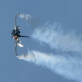 F16 Fighting Falcon (US)